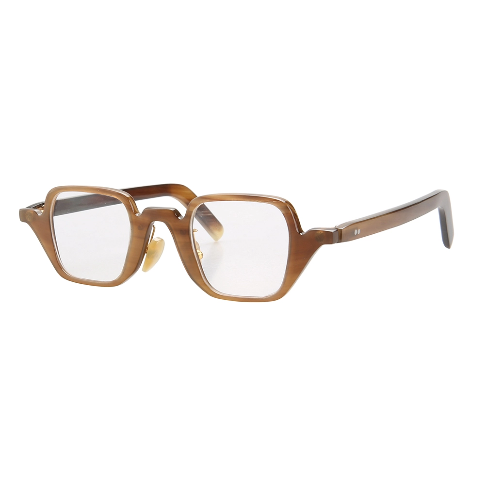 Horn Eyeglasses 2