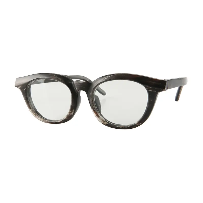 Horn Eyeglasses 2